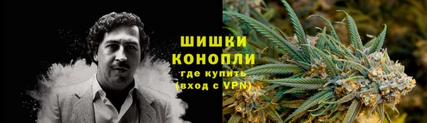 шишки Бугульма
