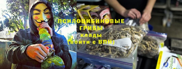 шишки Бугульма