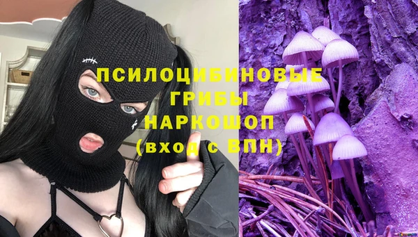 гашик Бронницы