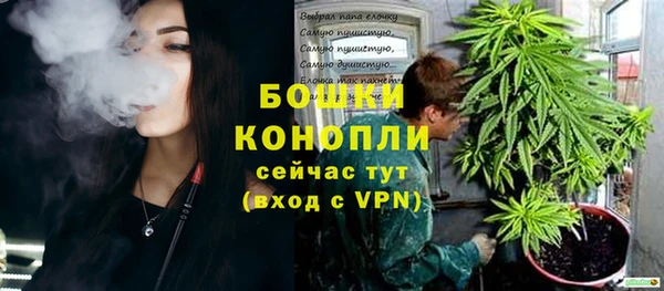 гашик Бронницы